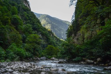 dağ Nehri Vadisi Dağları arasında