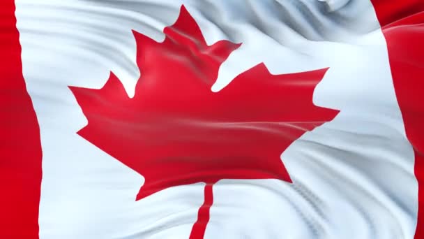 Bandeira Canadá Acenando Vento Com Textura Tecido Altamente Detalhada Loop — Vídeo de Stock
