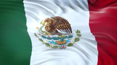 Meksika bayrağı son derece detaylı kumaş dokusuyla rüzgarda dalgalanıyor. Kusursuz döngü