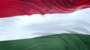 Son derece detaylı kumaş dokusuyla rüzgârda dalgalanan Macaristan bayrağı. Kusursuz döngü