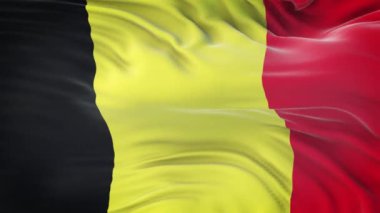 Çok detaylı kumaş dokusuyla dalgalanan Belçika bayrağı. Kusursuz döngü