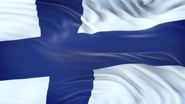 Finlandiya Bayrağı Rüzgarda Son Derece Detaylı Kumaş Dokusuyla Dalgalanıyor Kusursuz — Stok video