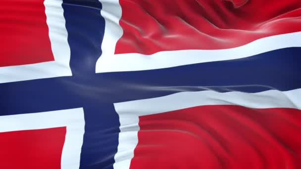 Bandeira Noruega Acenando Vento Com Textura Tecido Altamente Detalhada Loop — Vídeo de Stock