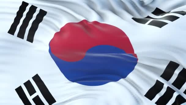 Σημαία Νότιας Κορέας Κυματίζει Στον Άνεμο Εξαιρετικά Λεπτομερή Υφασμάτινη Υφή — Αρχείο Βίντεο