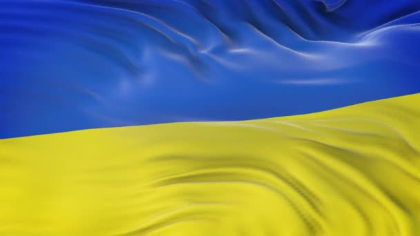 Die Flagge Der Ukraine Weht Wind Mit Einer Detailreichen Stoffstruktur — Stockvideo