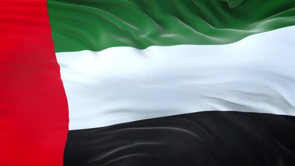 Bandeira Dos Emirados Árabes Unidos Acenando Vento Com Textura Tecido — Vídeo de Stock