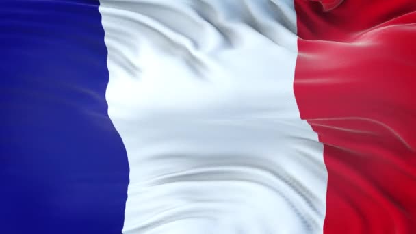 France Flag Waving Wind Highly Detailed Fabric Texture Seamless Loop — Stock Video