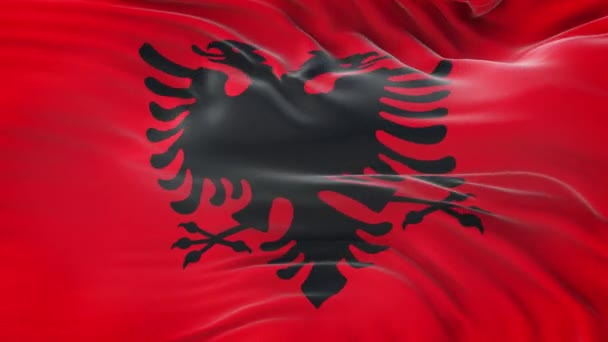 Bandiera Albania Sventola Nel Vento Con Texture Tessuto Altamente Dettagliata — Video Stock