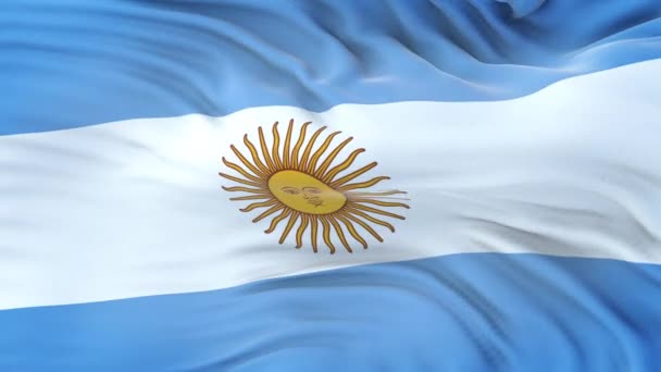 Bandeira Argentina Acenando Vento Com Textura Tecido Altamente Detalhada Loop — Vídeo de Stock