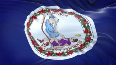 Virginia (ABD) bayrağı son derece detaylı kumaş dokusuyla. Kusursuz döngü.