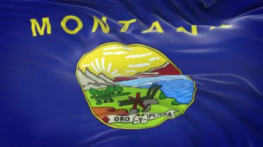 Montana (ABD) bayrağı son derece detaylı kumaş dokusuyla. Kusursuz döngü.