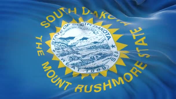 Jižní Dakota Usa Vlajka Velmi Podrobnou Texturou Tkaniny Bezešvé Smyčky — Stock video
