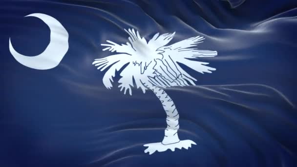 Flaga Karoliny Południowej Stany Zjednoczone Bardzo Szczegółowej Strukturze Tkaniny Płynna — Wideo stockowe