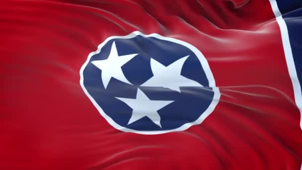 Tennessee Amerikaanse Staat Vlag Met Zeer Gedetailleerde Stof Textuur Naadloze — Stockvideo