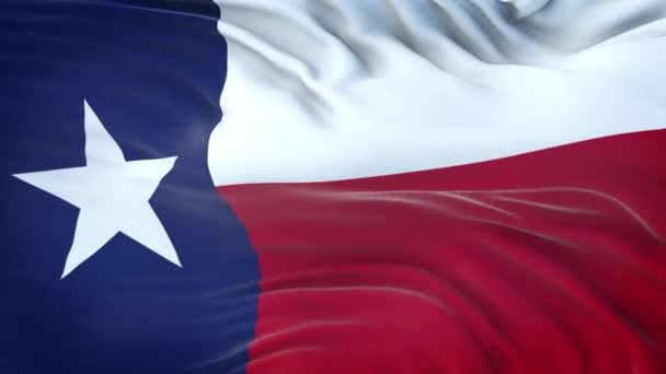 Texas Amerikaanse Staat Vlag Met Zeer Gedetailleerde Stof Textuur Naadloze — Stockvideo