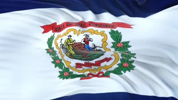 Bandera West Virginia State Con Textura Tela Altamente Detallada Lazo — Vídeos de Stock