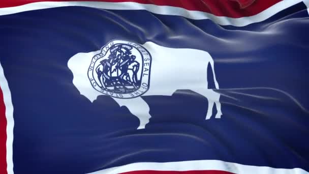 怀俄明州 美国州 的国旗具有非常详细的面料质感 无缝圈 — 图库视频影像