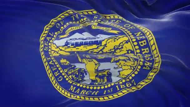 Bandiera Nebraska Stato Degli Stati Uniti Con Texture Tessuto Altamente — Video Stock