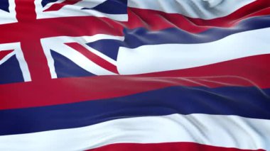 Hawaii (ABD) bayrağı son derece detaylı kumaş dokusuyla. Kusursuz döngü.