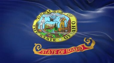 Yüksek detaylı kumaş dokusuna sahip Idaho bayrağı. Kusursuz döngü.