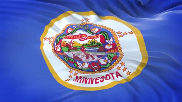 Minnesota State Flag Highly Detailed Fabric Texture Seamless Loop — Stock Video