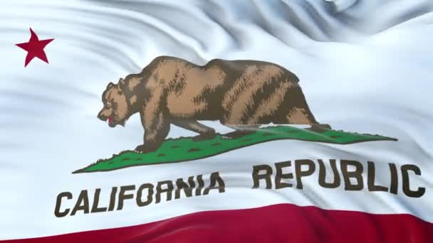 Σημαία Καλιφόρνιας Πολιτεία Των Ηπα Εξαιρετικά Λεπτομερή Υφασμάτινη Υφή Απρόσκοπτη — Αρχείο Βίντεο