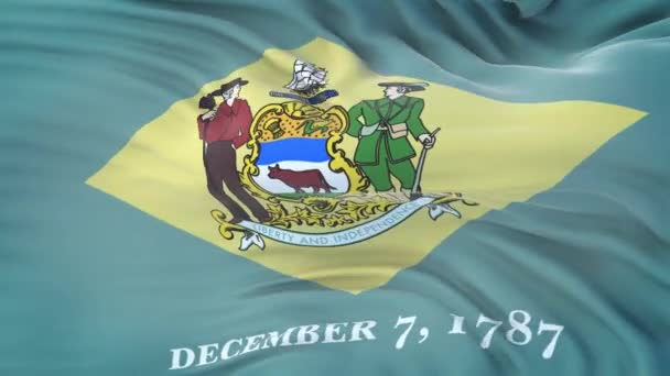 Delaware Amerikaanse Staat Vlag Met Zeer Gedetailleerde Stof Textuur Naadloze — Stockvideo