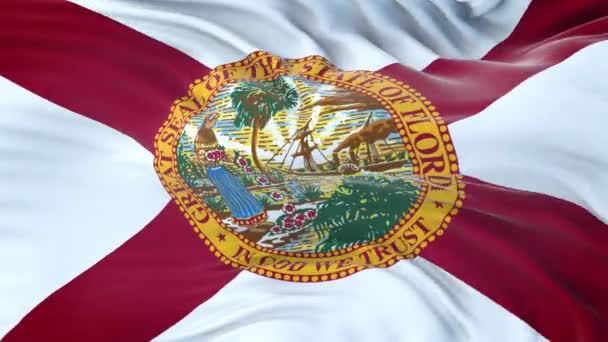 Bandera Florida Estado Los Estados Unidos Con Textura Tela Altamente — Vídeo de stock