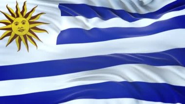 Uruguay bayrağı son derece detaylı kumaş dokusuyla rüzgarda dalgalanıyor. Kusursuz döngü