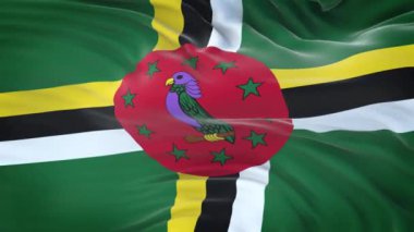 Dominica bayrağı son derece detaylı kumaş dokusuyla rüzgarda dalgalanıyor. Kusursuz döngü