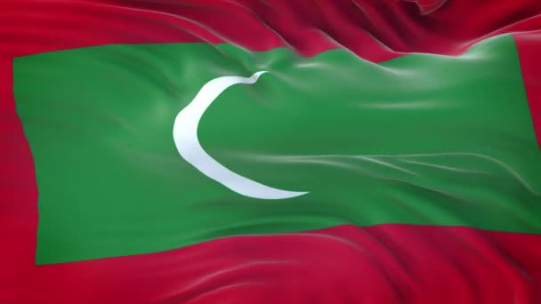 Флаг Мальдив Размахивающий Ветру Подробной Текстурой Ткани Бесшовный Цикл — стоковое видео