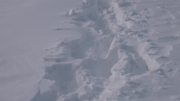 Fotspåren Täckta Med Snö Fotspår Snön Fotspår Täckta Med Snö — Stockvideo