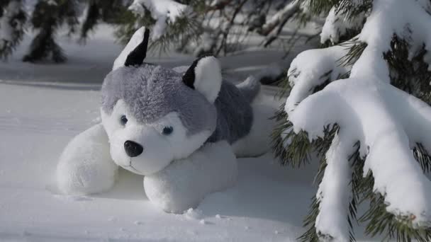 Собака Під Ялинкою Яка Іграшка Снігу — стокове відео
