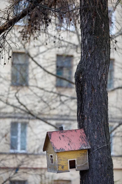 Wooden yellow birdhouse in a residential area of the city. A simple birdhouse. Bird shelter, birdhouse on a tree — Stock Photo, Image