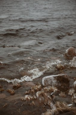 Sahilde kayalar ve su var. Taş ve çakıl arkaplanı
