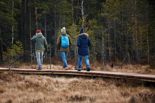 Pessoas caminhando pela floresta, vista das costas — Fotografia de Stock