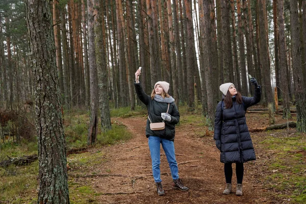 Ormanda telefon iletişimi arayın. Elinde aletlerle internet bağlantısı yakalamaya çalışan iki kız. — Stok fotoğraf