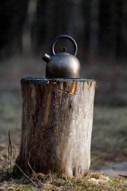 Ormandaki bir kütükte çaydanlık..