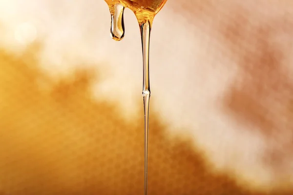 Krople miodu na tle pszczół miodnych. — Zdjęcie stockowe
