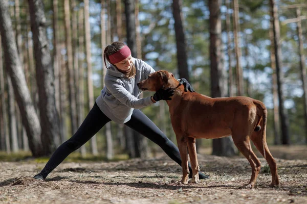Девушка с собакой на разогреве. Спорт на природе с Родезийским хребтом — стоковое фото