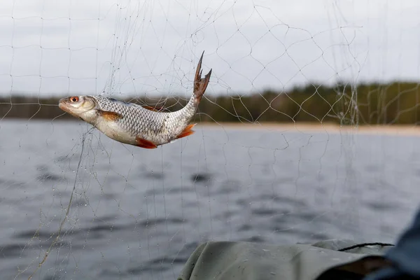 Pesca con redes de barcos. manos de cerca . — Foto de Stock