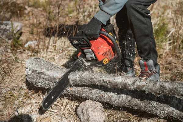 Muž, který řeže strom motorovou pilou. odstraňuje lesní plantáže ze starých stromů, připravuje dřevo na podpal — Stock fotografie
