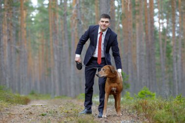 Rodezyalı Ridgeback bir adamla yürüyüşe çıkmış..