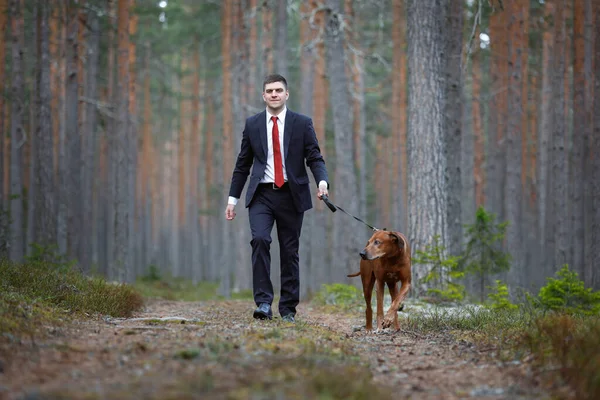 Promenade avec un chien dans la forêt de pins. homme avec Ridgeback rhodésien dans la nature — Photo