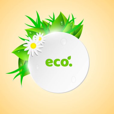 Yaz stili beyaz, hafif afiş. Taze yaprak ve ot. Çiy damlaları yaprakları akışı. Güzel çiçekler. Papatya çayı. Ekolojik afiş. Gerçekçi illüstrasyon