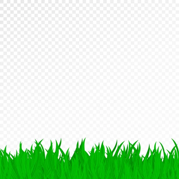 Hierba verde sobre un fondo transparente. Pura naturaleza. Plantilla para tus proyectos. Ilustración vectorial — Vector de stock
