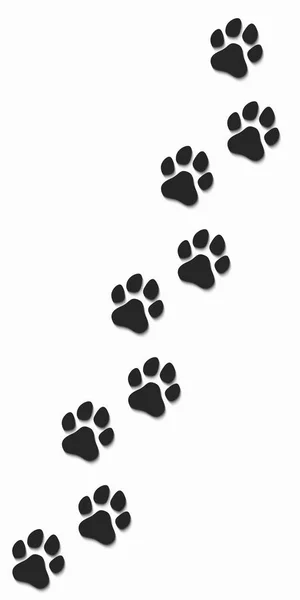 Rastros de un perro de negro sobre un fondo blanco. Sombra suave. Ilustración vectorial — Archivo Imágenes Vectoriales