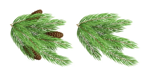 Takken van een groene kerstboom met kegels geïsoleerd op een witte achtergrond. Feestelijke element. Winterseizoen. Vector — Stockvector