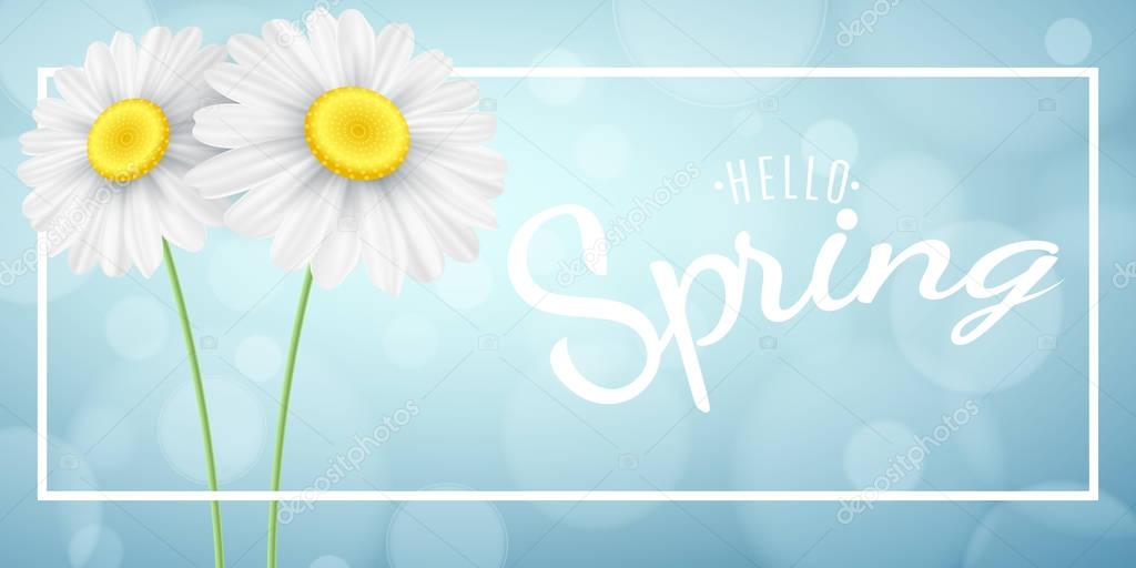 Spring concept. Chamomile in white frame banner on the background of the sun. Blue bokeh lights. Calligraphic text. Hello spring phrase. Vector illustration