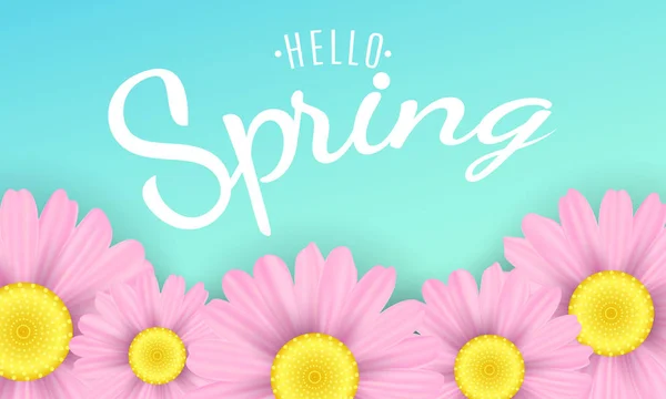 Olá frase primavera. Fundo sazonal. Flores de camomila rosa em um fundo azul. Ilustração vetorial —  Vetores de Stock